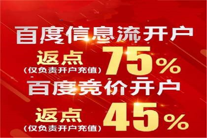 落地页在SEM优化中的重要性及成功案例